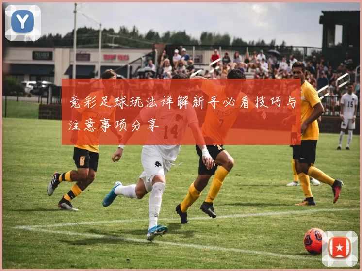 竞彩足球玩法详解新手必看技巧与注意事项分享