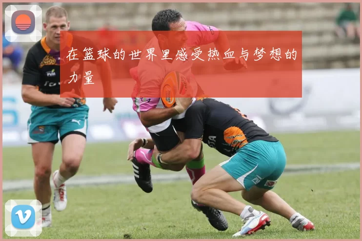 在篮球的世界里感受热血与梦想的力量