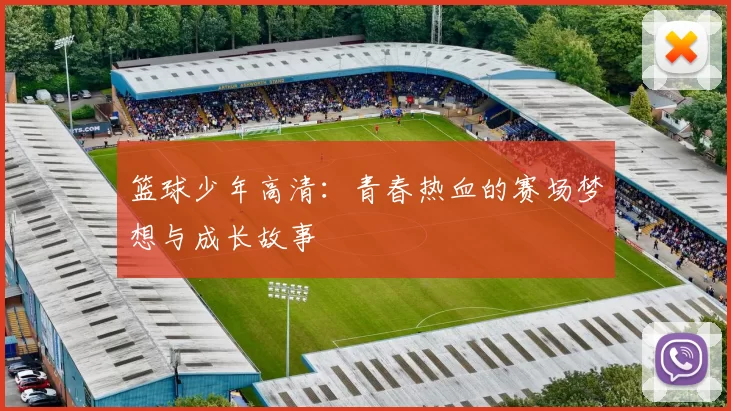 篮球少年高清：青春热血的赛场梦想与成长故事