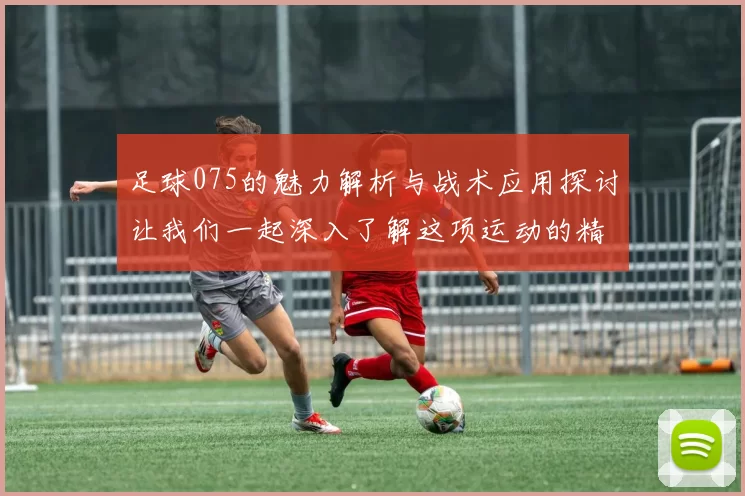 足球075的魅力解析与战术应用探讨让我们一起深入了解这项运动的精髓